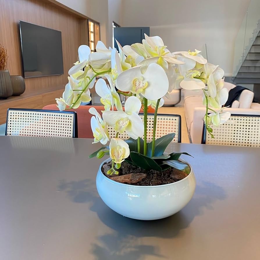 6156p1 j3el. ac uf894,1000 ql80